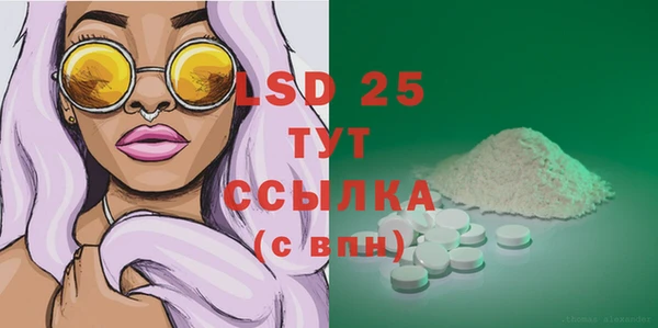 шишки Новозыбков
