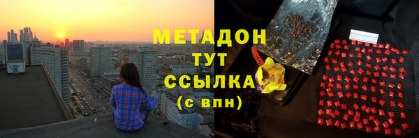 шишки Новозыбков