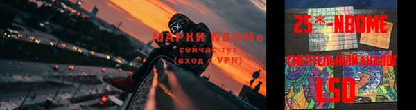 гидра Нязепетровск