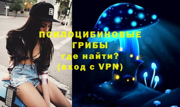 mdpv Няндома